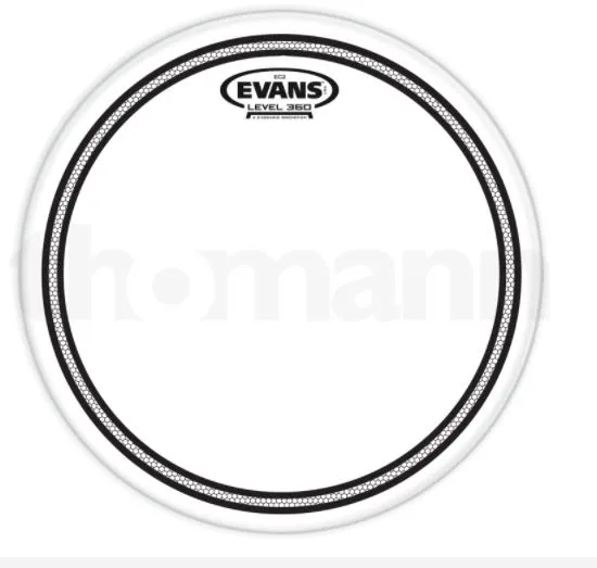 Evans EC2 two-ply head with a muffling ring visible at the edge