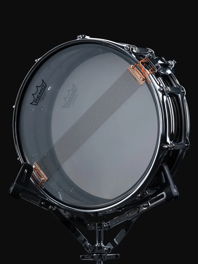 A snare's clear Remo resonant head and snare wires, shot from behind